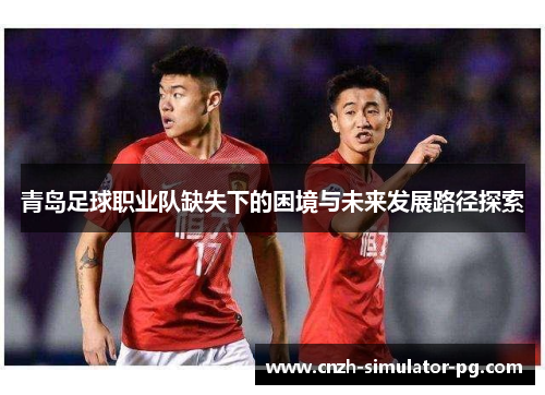 青岛足球职业队缺失下的困境与未来发展路径探索