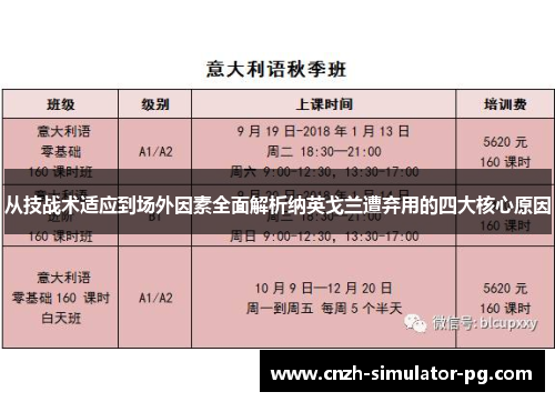从技战术适应到场外因素全面解析纳英戈兰遭弃用的四大核心原因 从技战术适应到场外因素全面解析纳英戈兰遭弃用的四大核心原因
