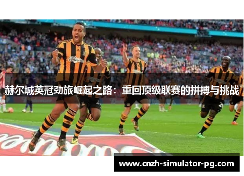 赫尔城英冠劲旅崛起之路：重回顶级联赛的拼搏与挑战